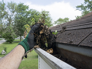 Minnesota Gutter Cleaning - C-More Clearly